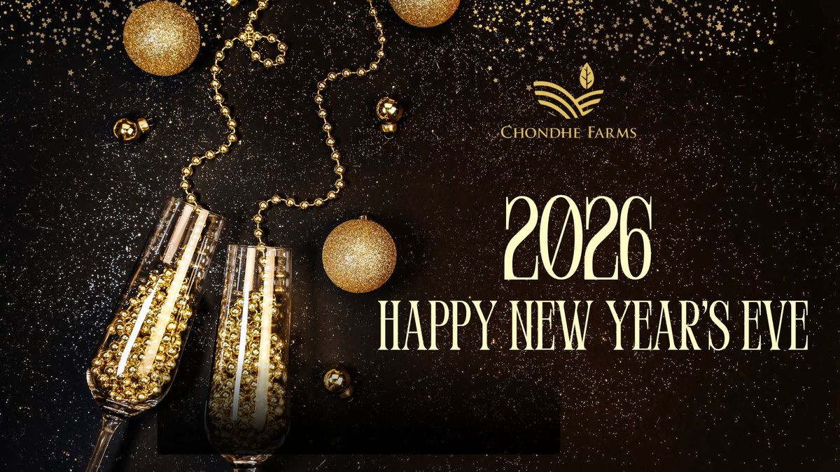 New Year&apos;s Bash 2.0