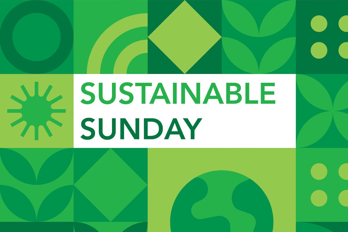 Sustainable Sunday