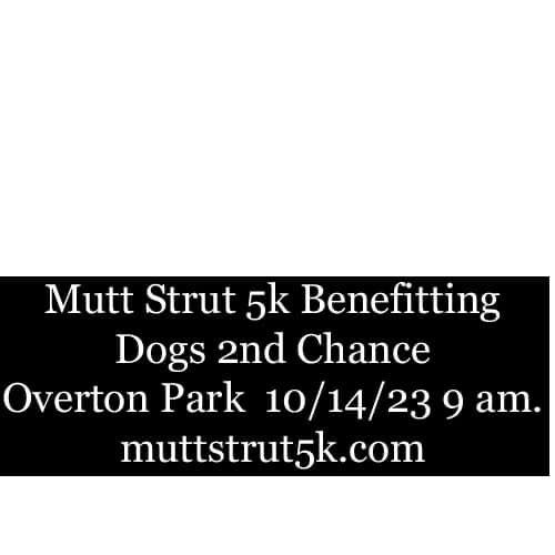 Mutt Strut 5k a beneficio de Dogs 2nd Chance