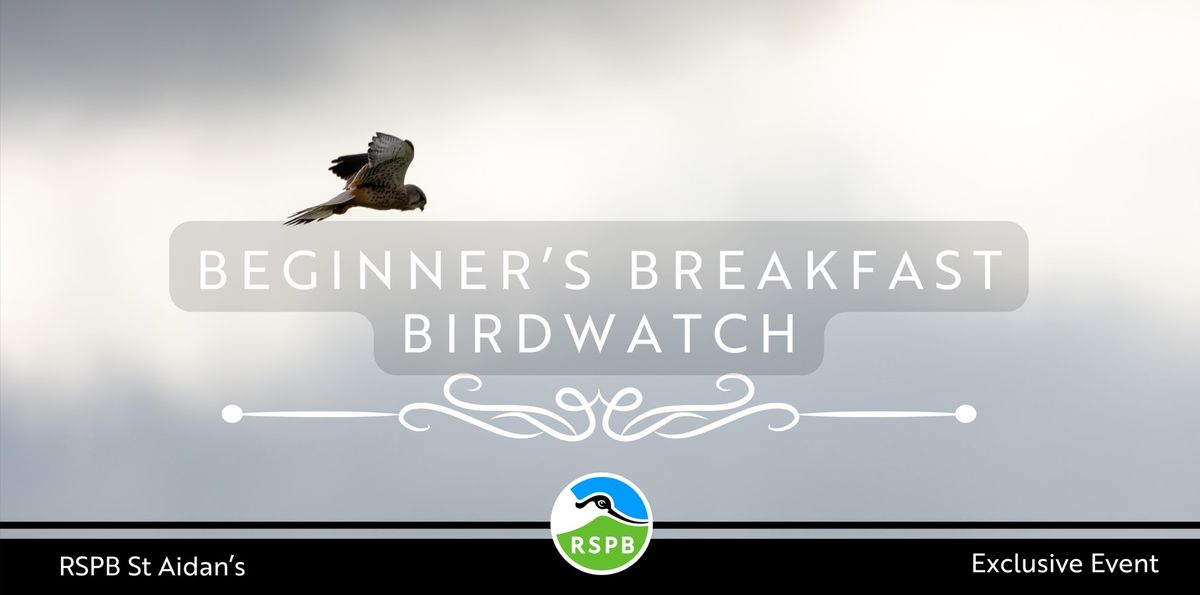 Beginner's Breakfast Birdwatch- RSPB St Aidan's