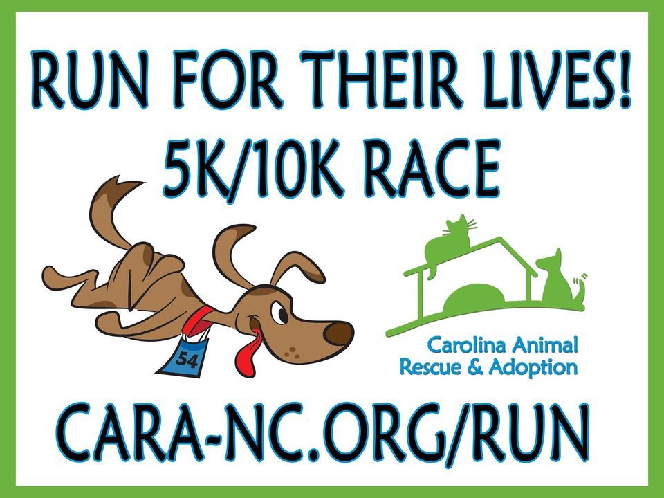 Run For Their Lives! 2022