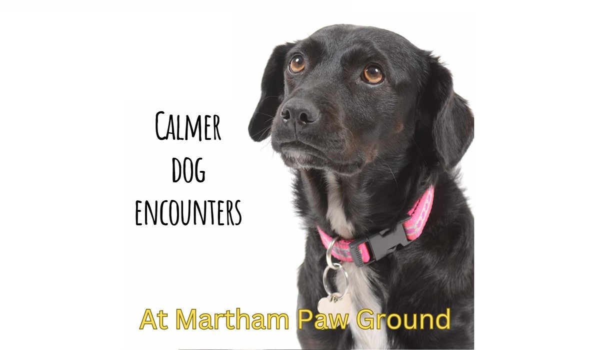 Calmer dog encounters - help for your nervous or excitable dog