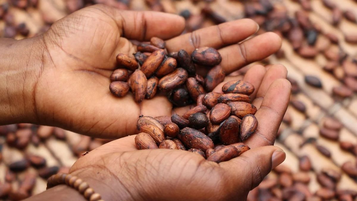 Spring-Equinox Cacao Ceremonie