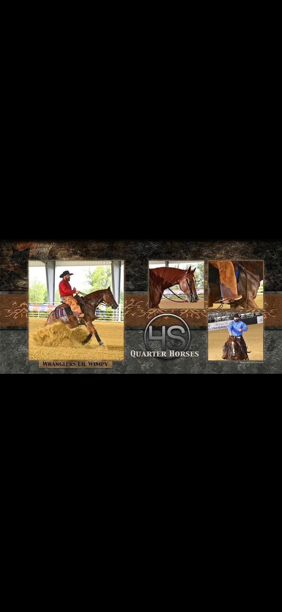 Ranch Riding Clinic With David Sowers of 4S Quarter Horses