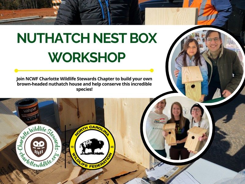 Nuthatch Nest Box Workship