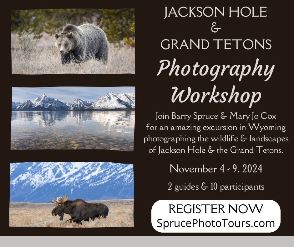 Grand Teton Photography Workshop