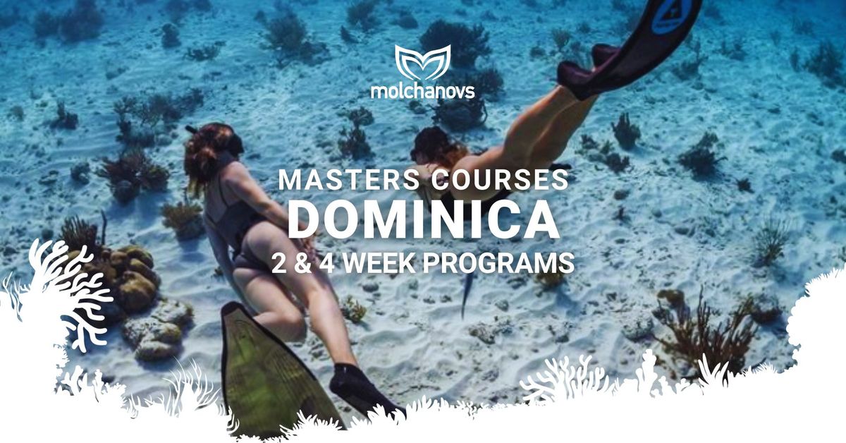 Dive Dominica | Master Freediving Courses