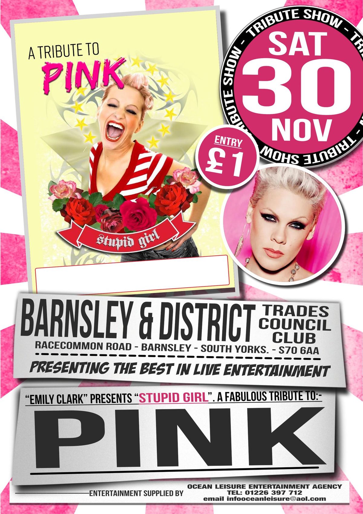 PINK TRIBUTE BACK BY POPULAR DEMAND 30\/11\/2024