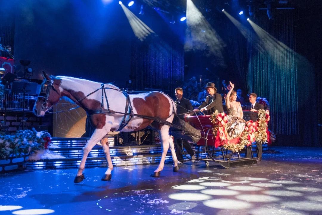 The Carolina Opry Christmas Special