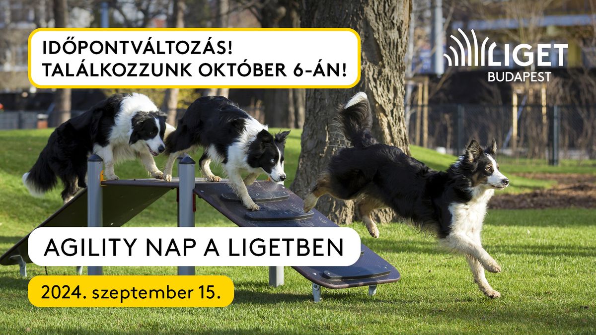 Agility nap a Ligetben