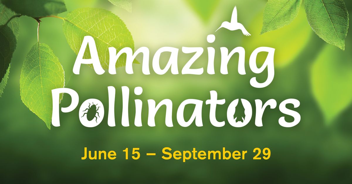 Amazing Pollinators \u2013 Last Chance: Closing Sept. 29