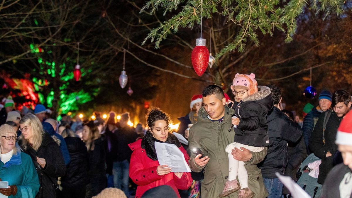 Carols at the Cathedral