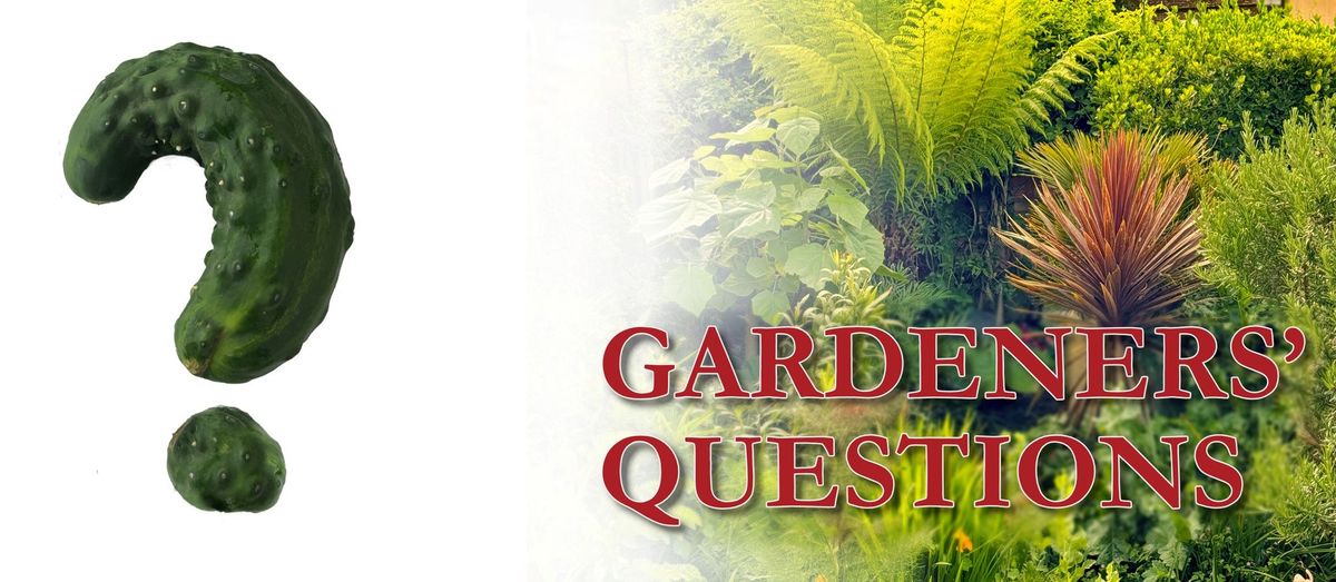 Gardeners Question Time