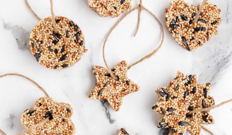 Wild Bird Seed Ornament Class