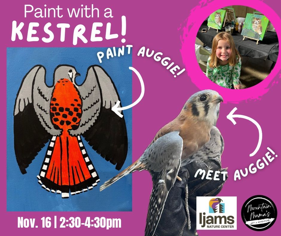 Paint with an American Kestrel at Ijams Nature Center