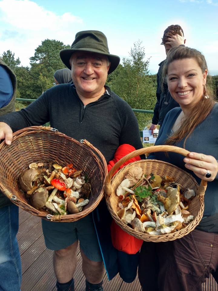 Mushroom Hunt with Bill O'Dea at Loughcrew Estate and Gardens