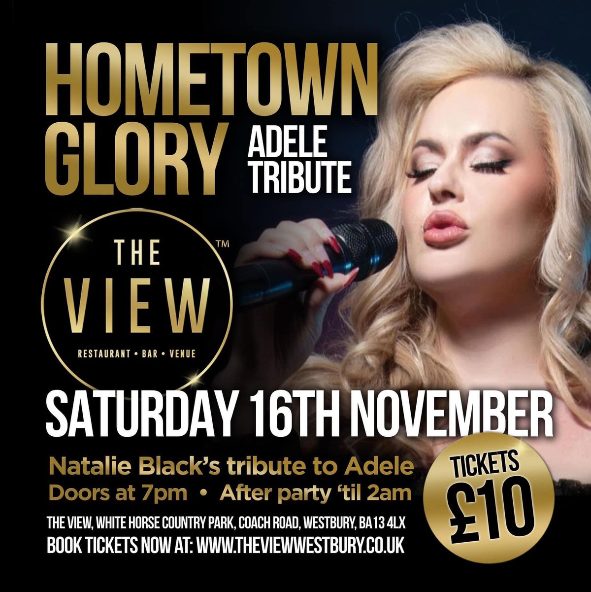 HOME TOWN GLORY - ADELE TRIBUTE 