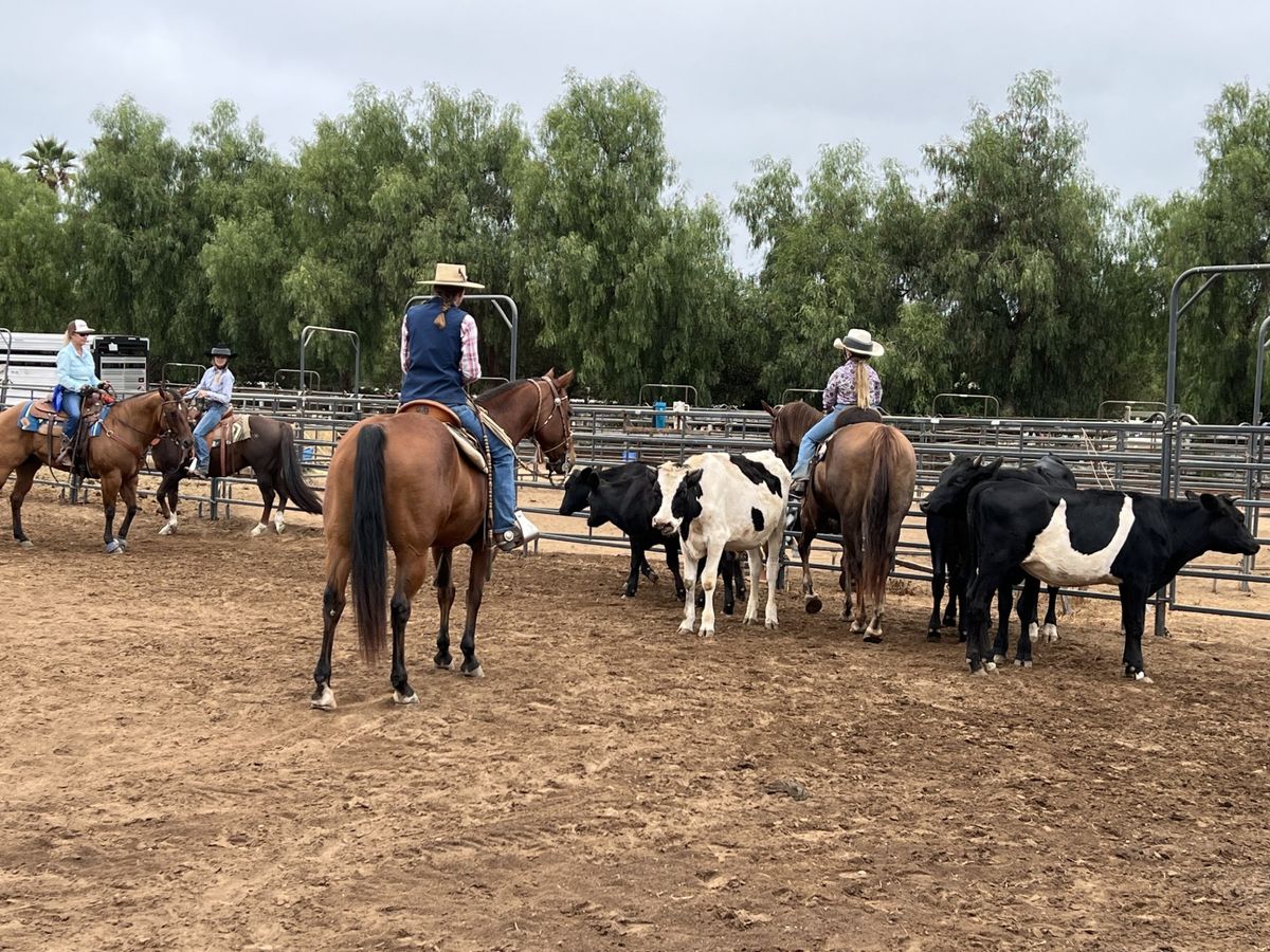 ***FULL***RDVC Cattle Clinic & Fun Day