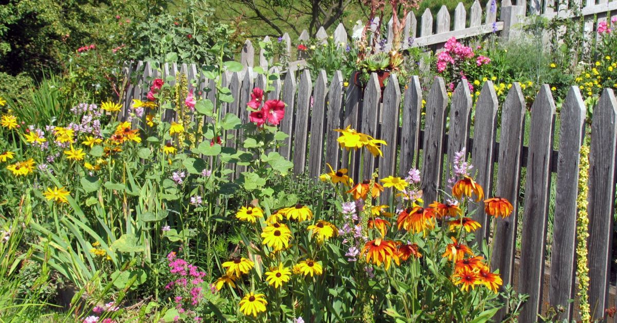 Organic and Natural Gardening Practices