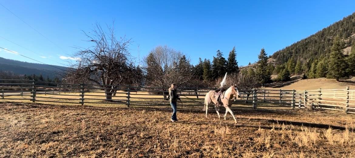 Horsemanship Clinic