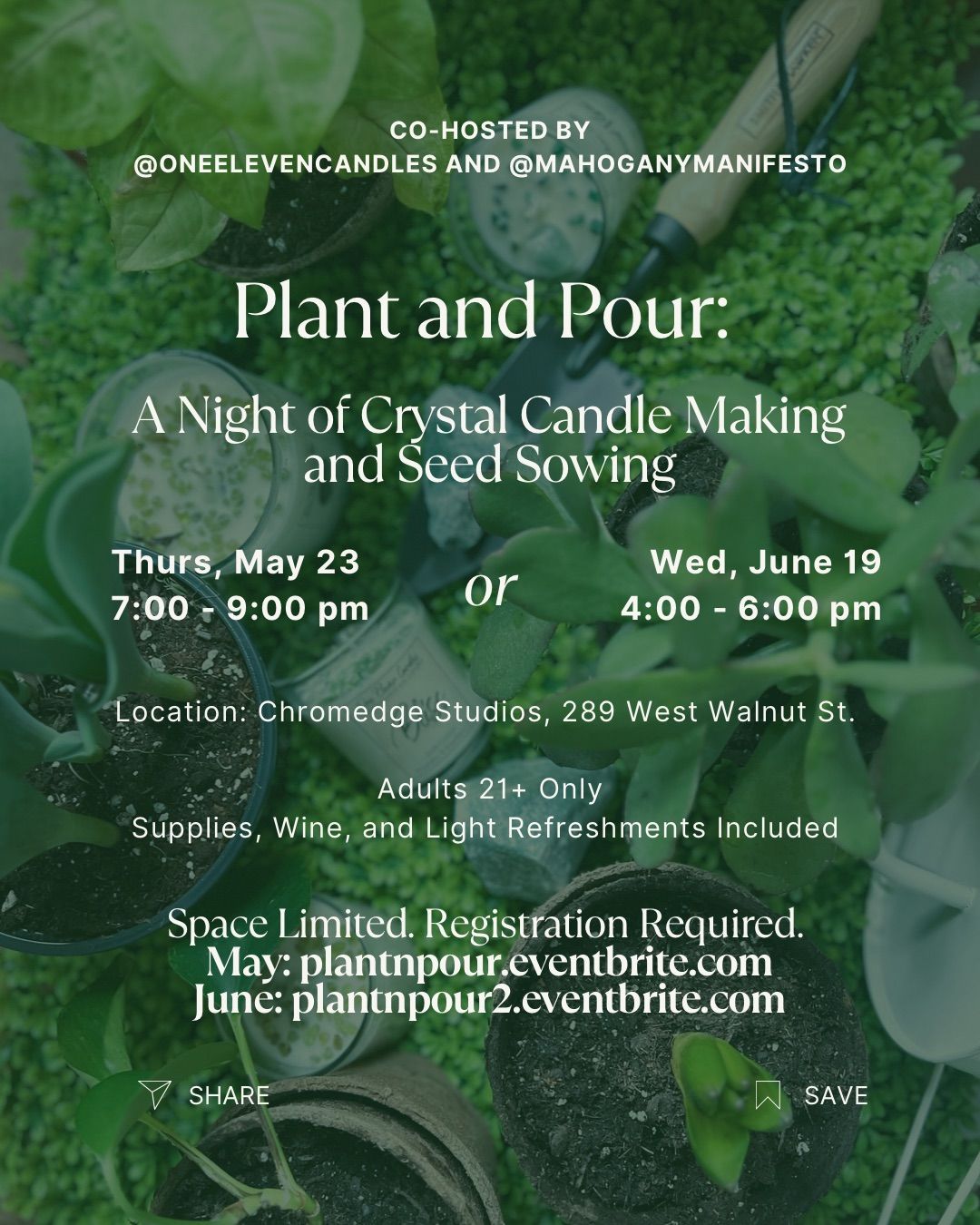 Plant and Pour: A Night of Crystal Candle Making and Seed Sowing