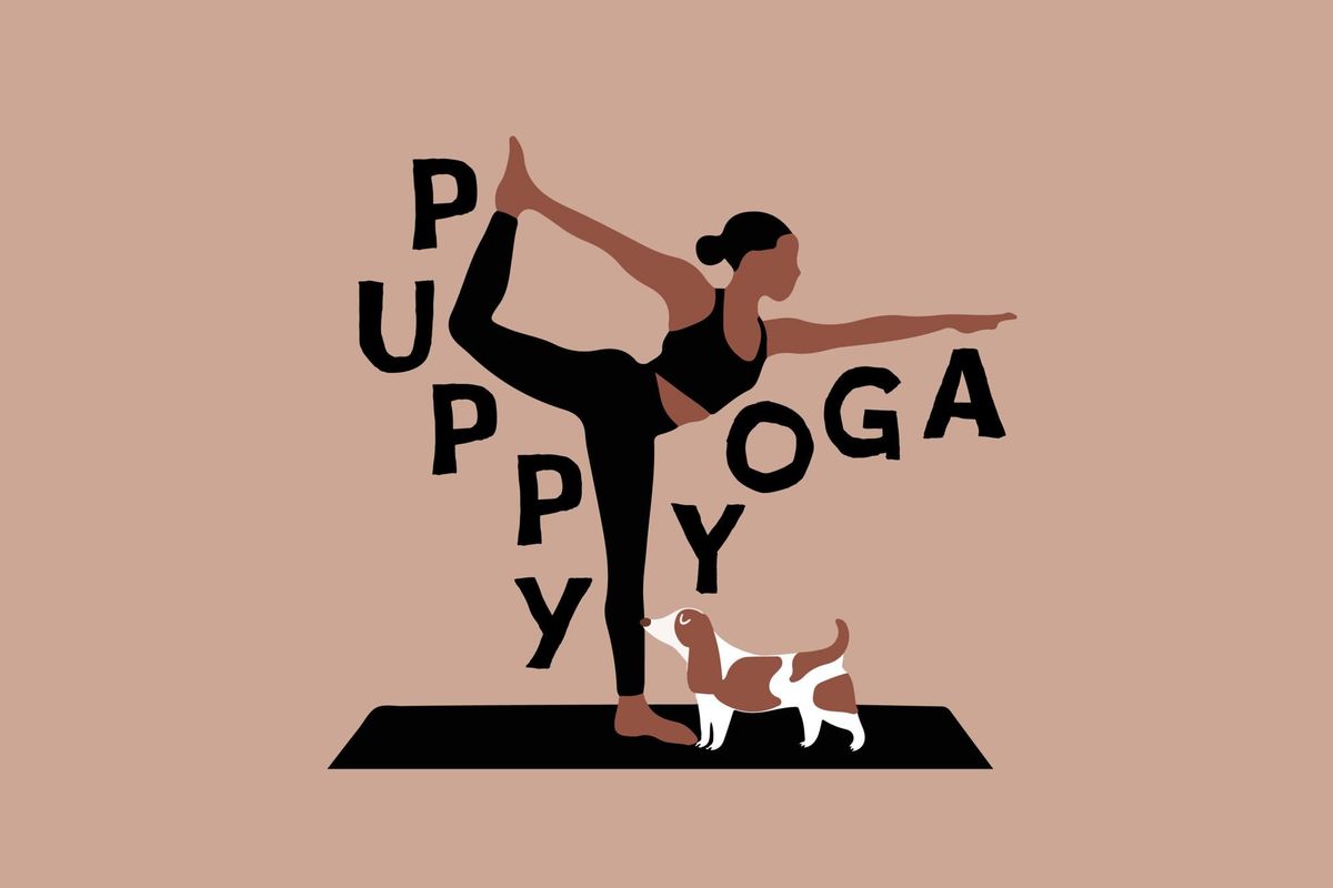 Puppy Yoga at the Museum Tent