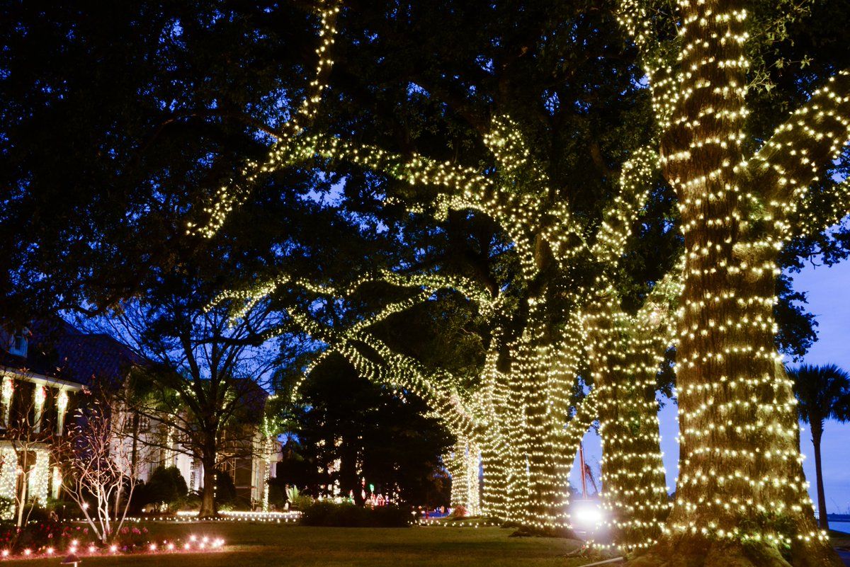 Jingle and Mingle: The Magical Christmas on Shell Beach Drive