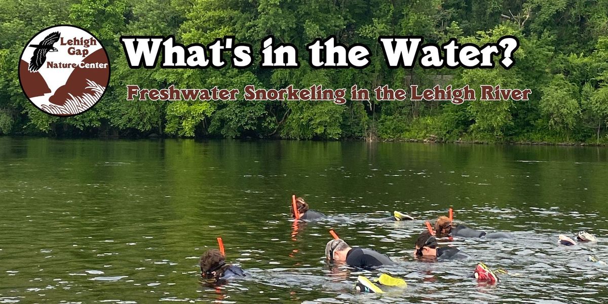 What\u2019s in the Water? \u2014 Freshwater Snorkeling in the Lehigh River