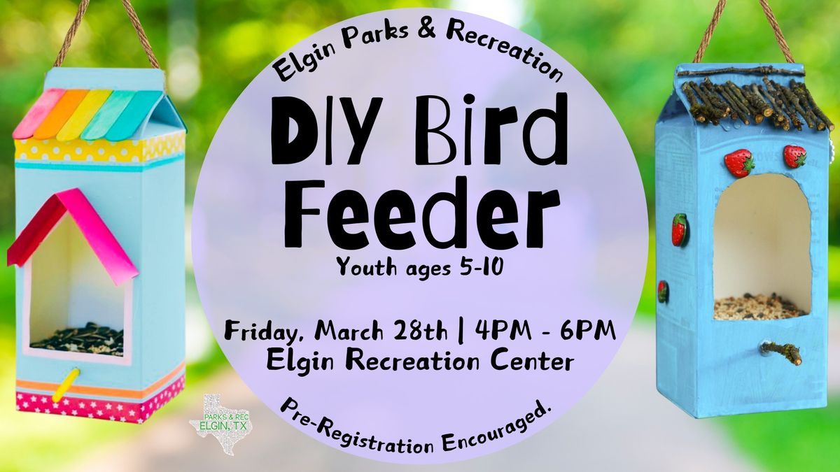 DIY Bird Feeder for Kids at the Elgin Recreation Center 