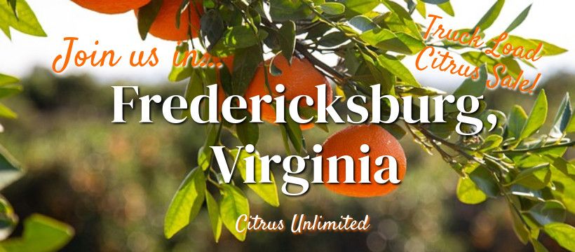 Citrus Sale - Coming to Fredericksburg, VA from 1:30 - 3:00 pm at Fraternal Order of Eagles