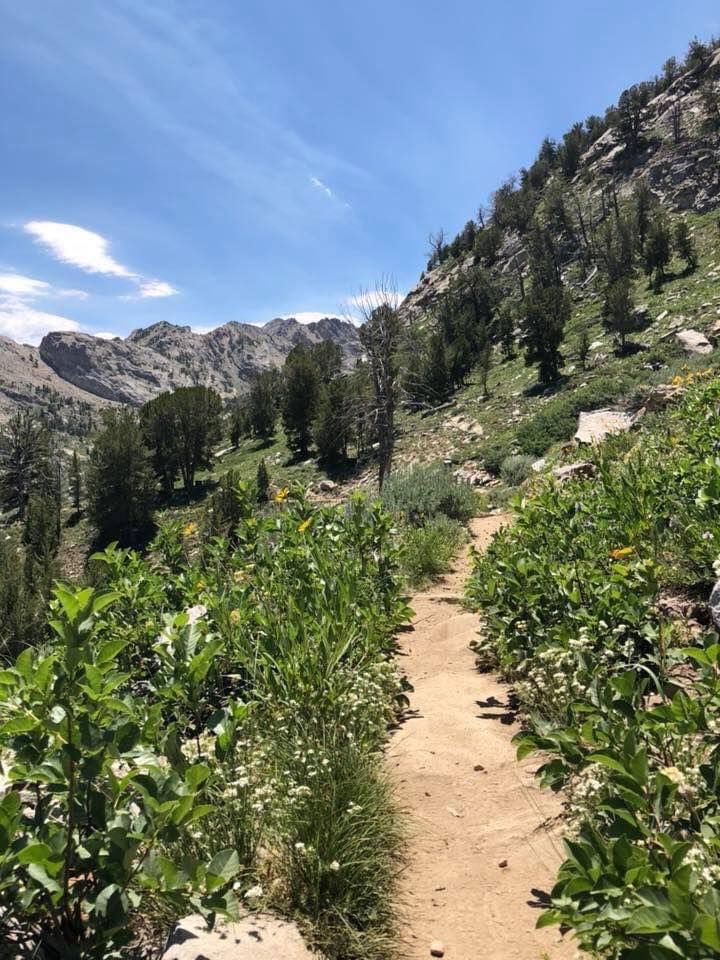 Ruby Mountain Relay Timberline Trail Ultra, Relay & Half