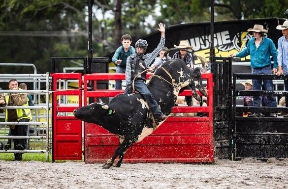 Lismore Show