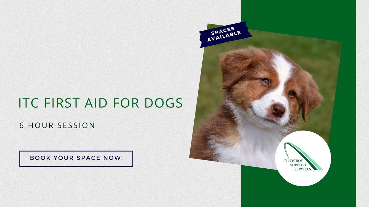 ITC First Aid for Dogs (6 Hours) 