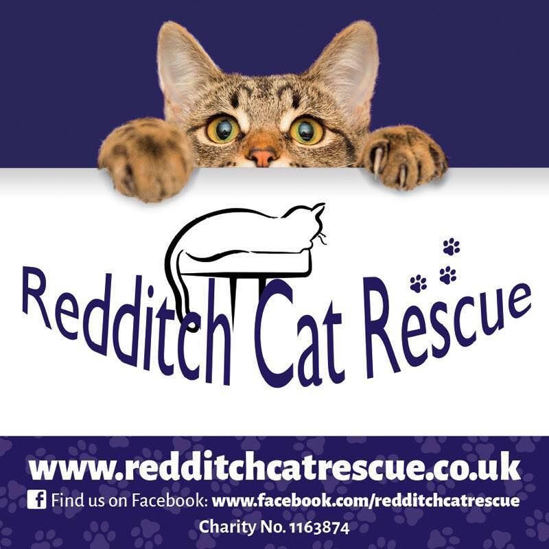 Redditch Cat Rescue Christmas Fair