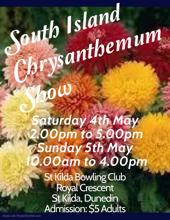 South Island Chrysanthamum Show