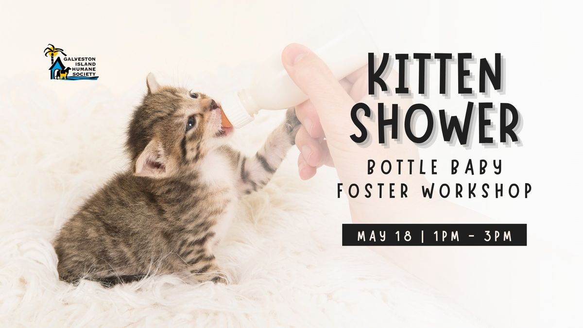Kitten Shower: Bottle Baby Foster Workshop & Donation Drive