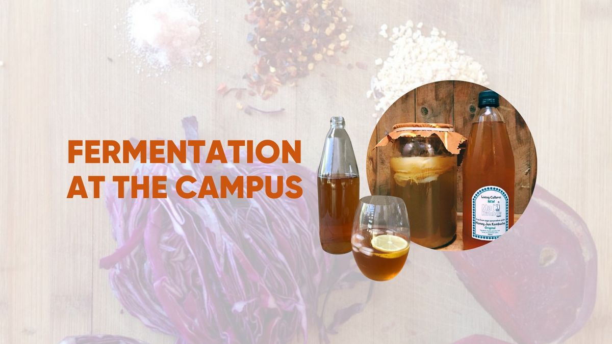 Fermentation at The Campus