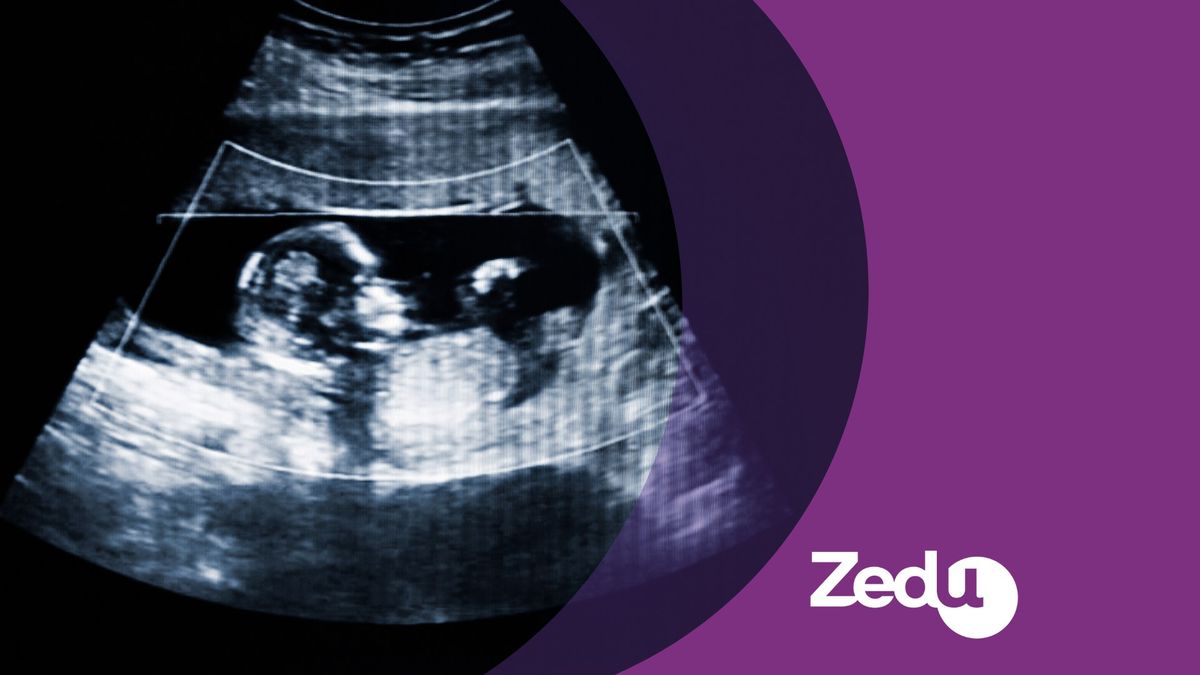 Zedu 1st Trimester Ultrasound