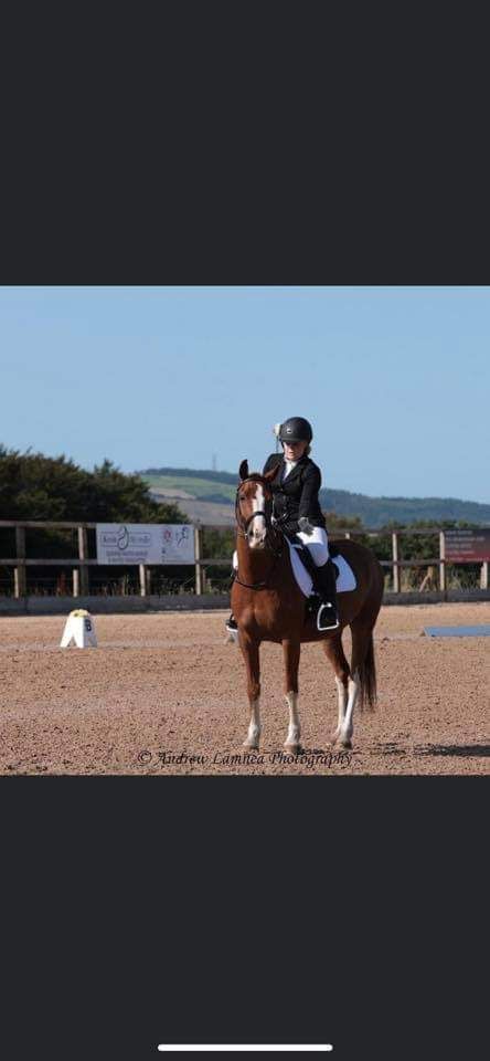 Nina Boex Dressage Clinic 