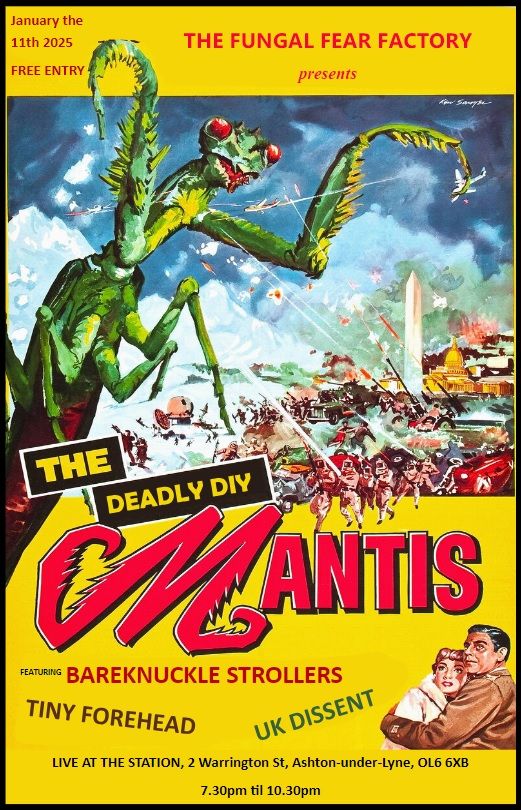 THE DEADLY DIY MANTIS