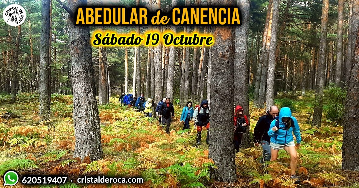 ?Abedular de Canencia y Chorrera de Mojonavalle