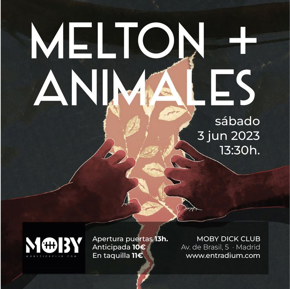 MELTON + Animales en Sesi\u00f3n Vermut
