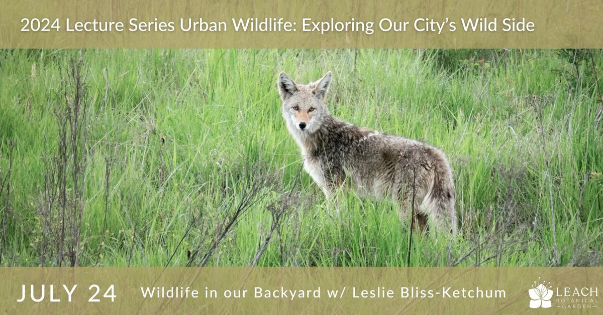 2024 Lecture Series Urban Wildlife: Exploring Our City's Wild Side