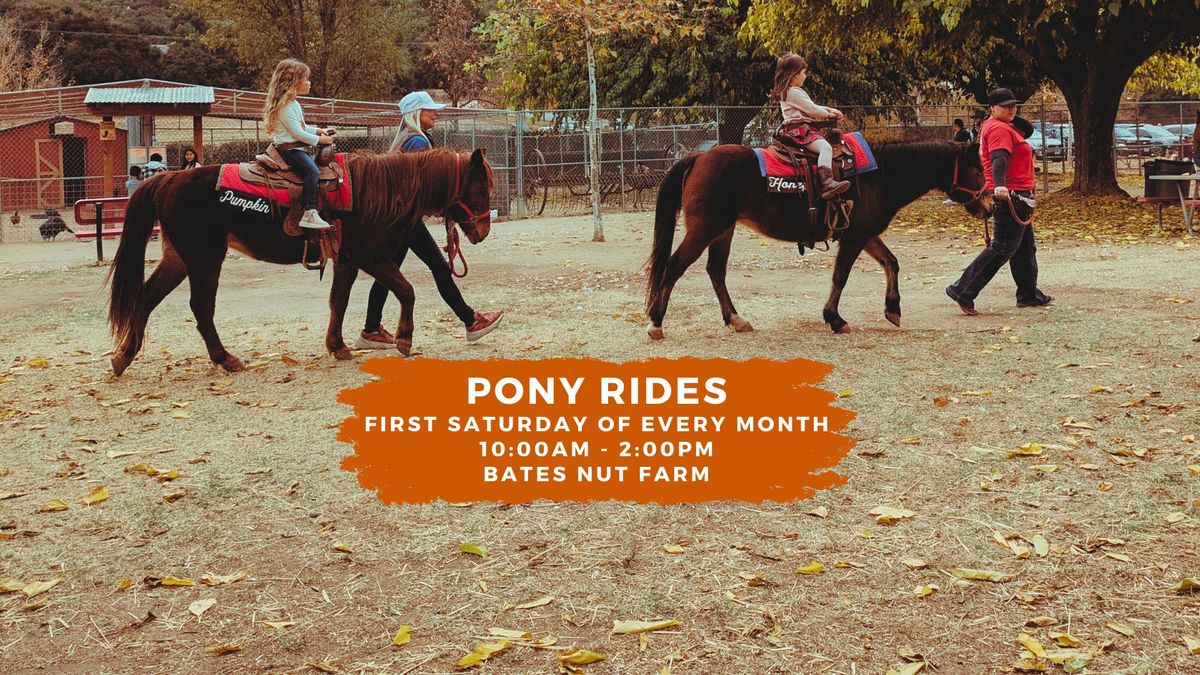 Pony Rides At Bates Nut Farm