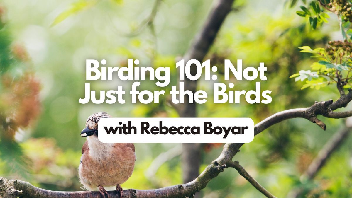 Birding 101: Not Just for the Birds (Seminar) \ud83d\udc26