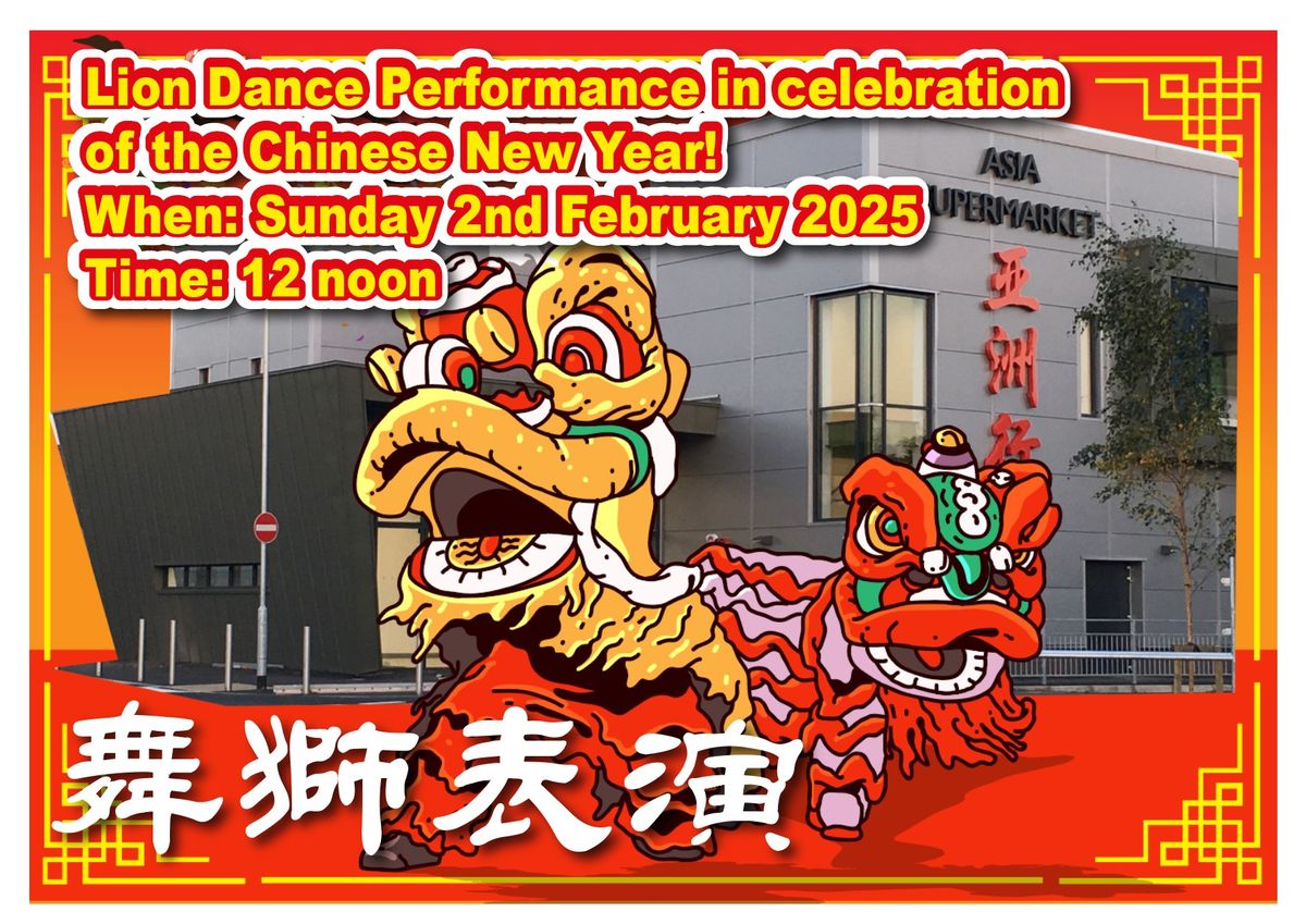 Lion Dance Performance