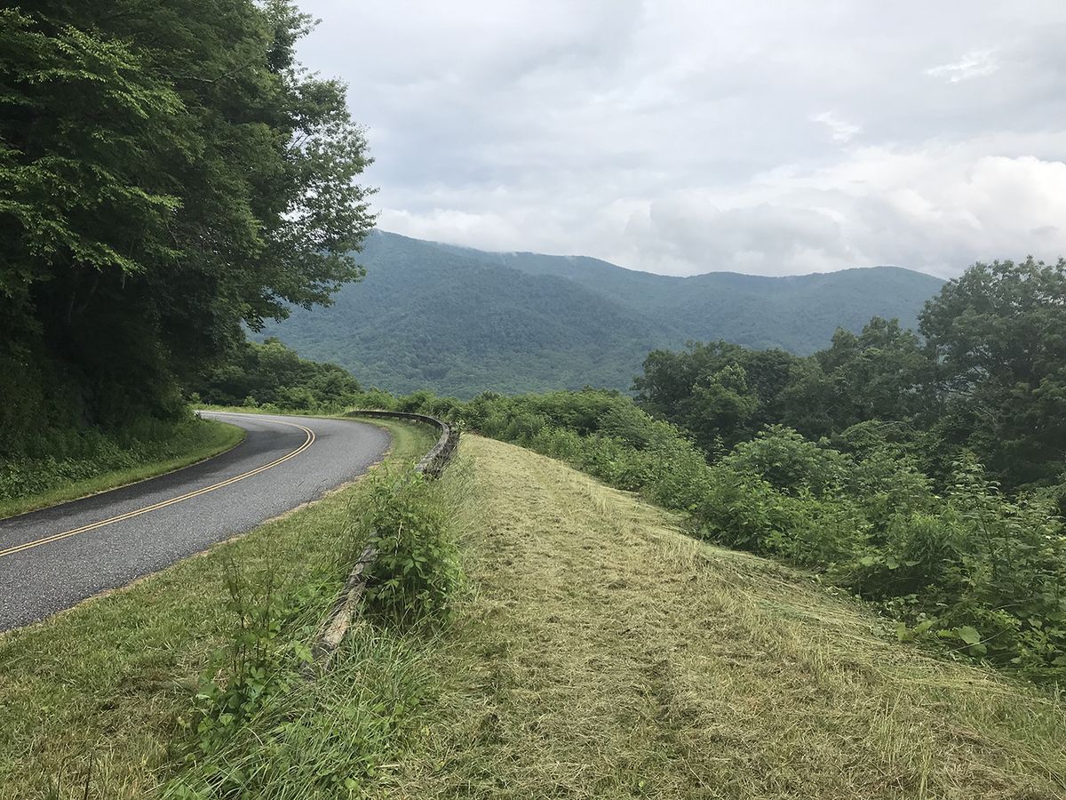Balsam Range