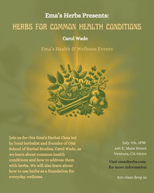 Herbs for Common Health Conditions with Carol Wade