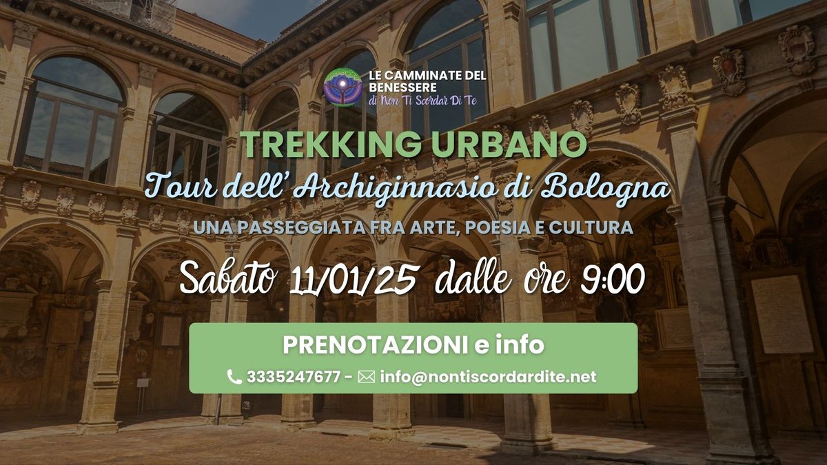 Trekking urbano - Tour all'Archiginnasio di Bologna