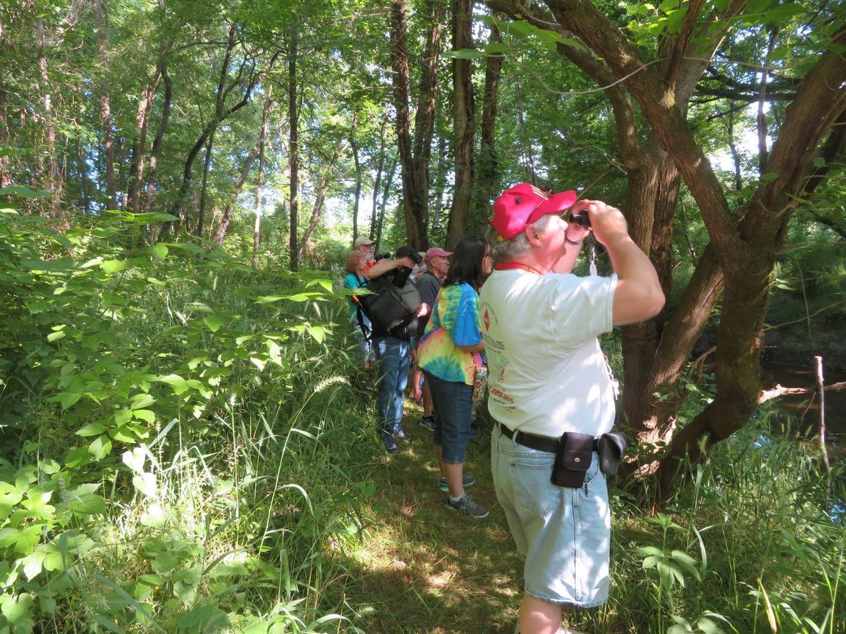 Bird Walk at the Audubon Natural Area